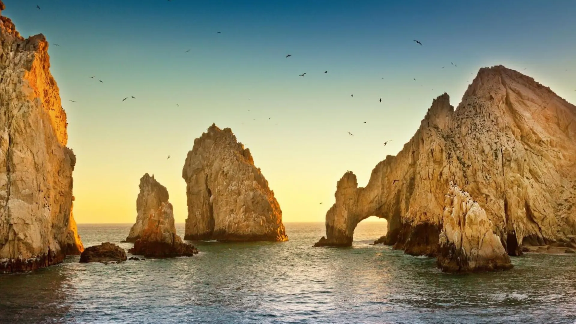 Apartman Loft Con Balcon Privado, Estacionamiento Gratis - Un Oasis En Los Cabos Cabo San Lucas