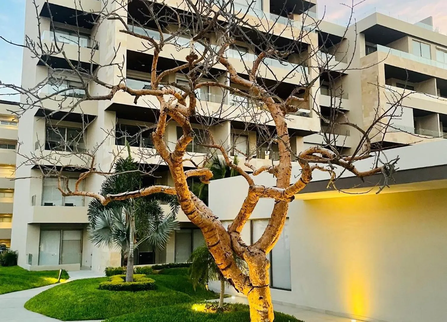 Apartman Loft Con Balcon Privado, Estacionamiento Gratis - Un Oasis En Los Cabos Cabo San Lucas